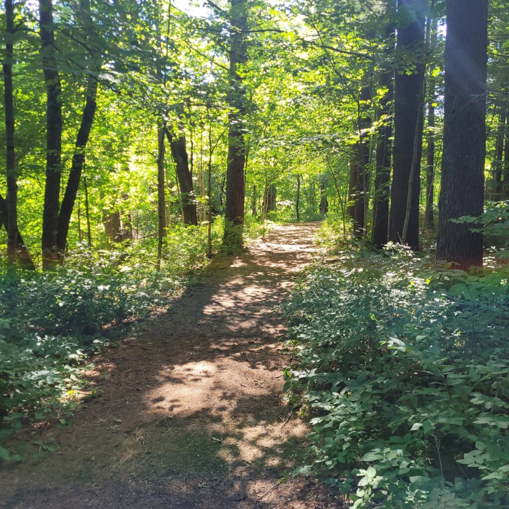 Hiking trail at Apple River Canyon State Park