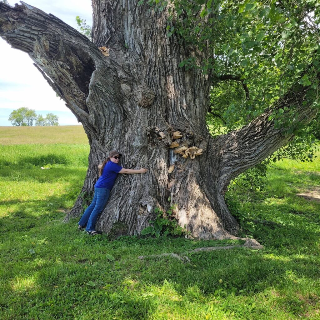 Jen hugging Illinois champion tree