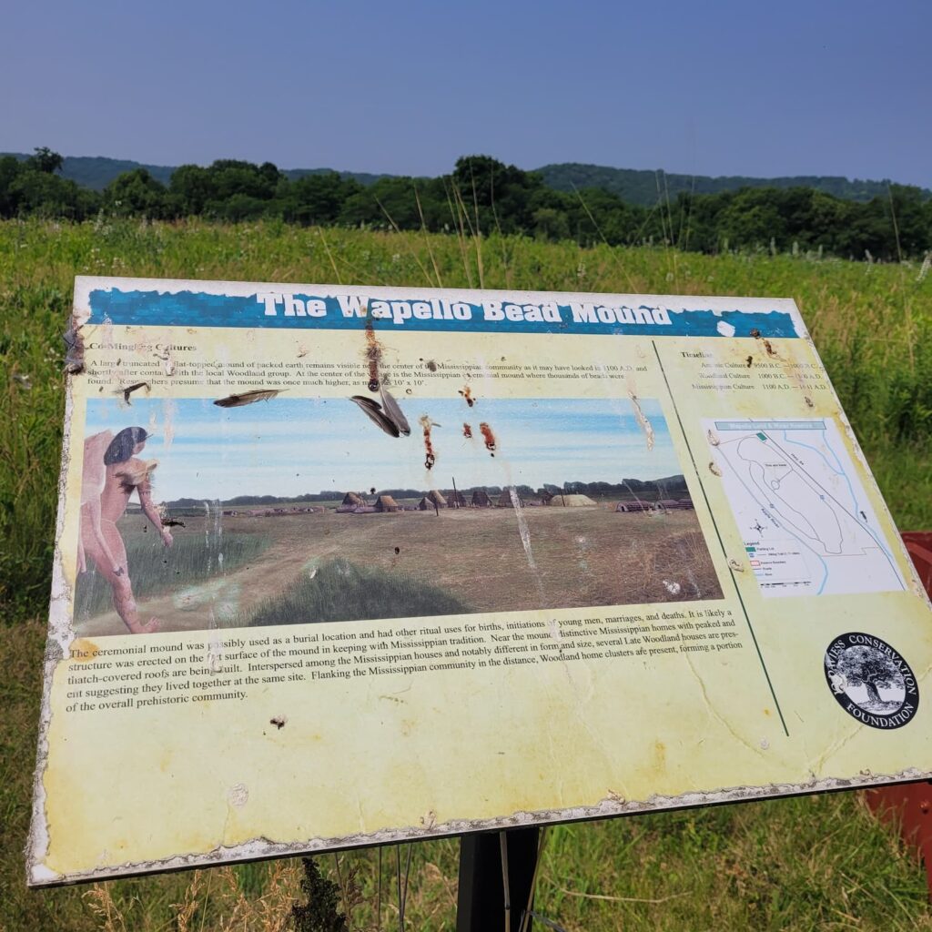 Informational sign about Wapello Bead Mound