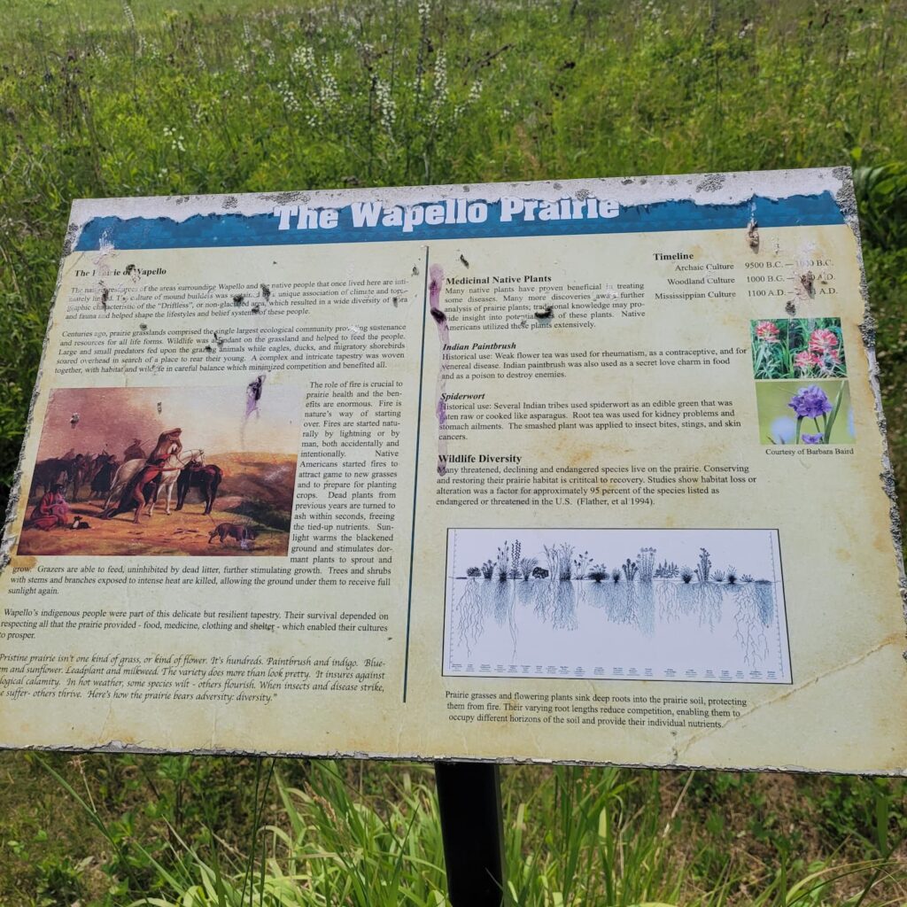 Informational sign about the Wapello