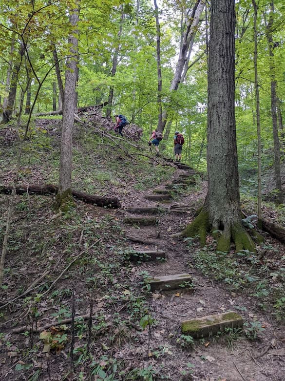 Group hiking up a hill at Forest Glen Preserve