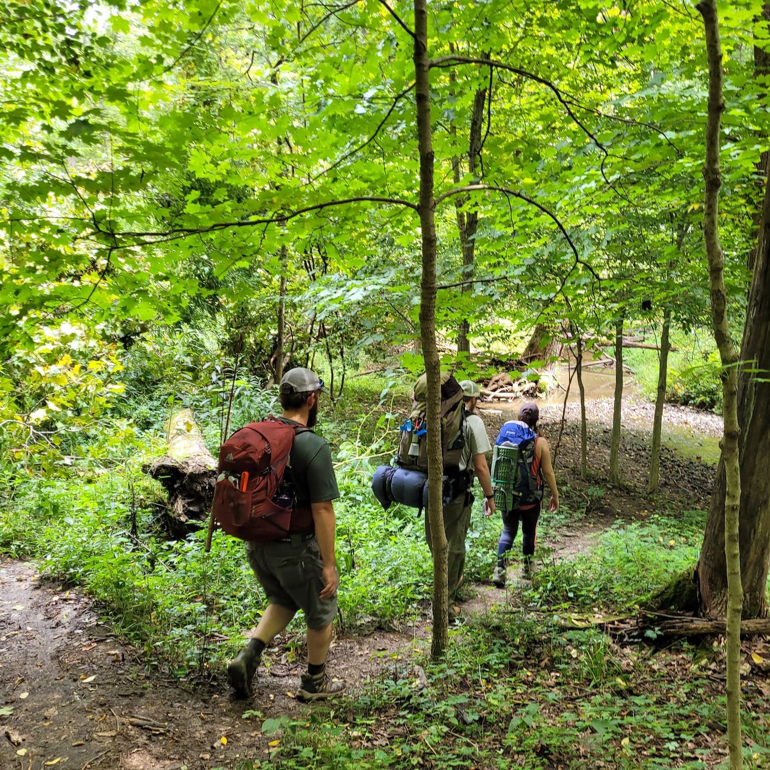 The Best Beginner Backpacking Near Chicago: Forest Glen Preserve