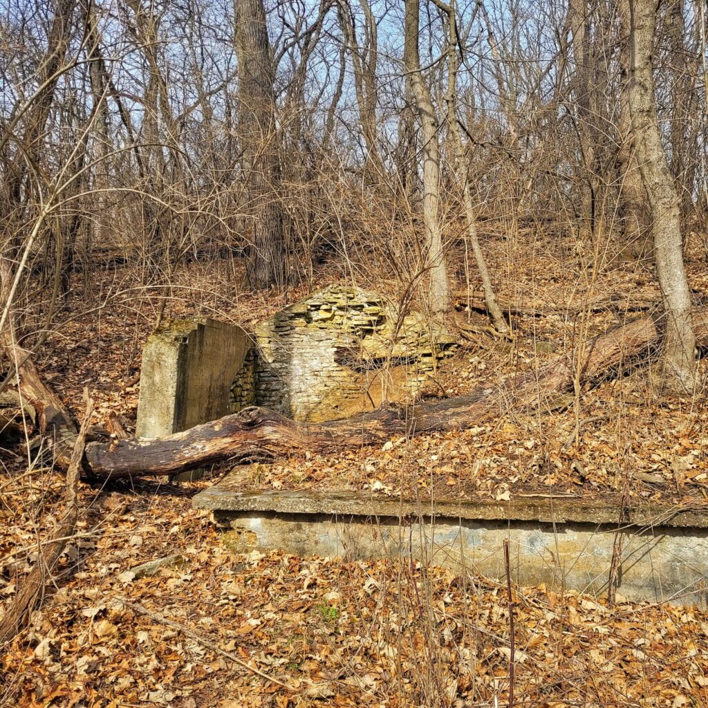 Photo of old stone wall from Lincoln Park nursery