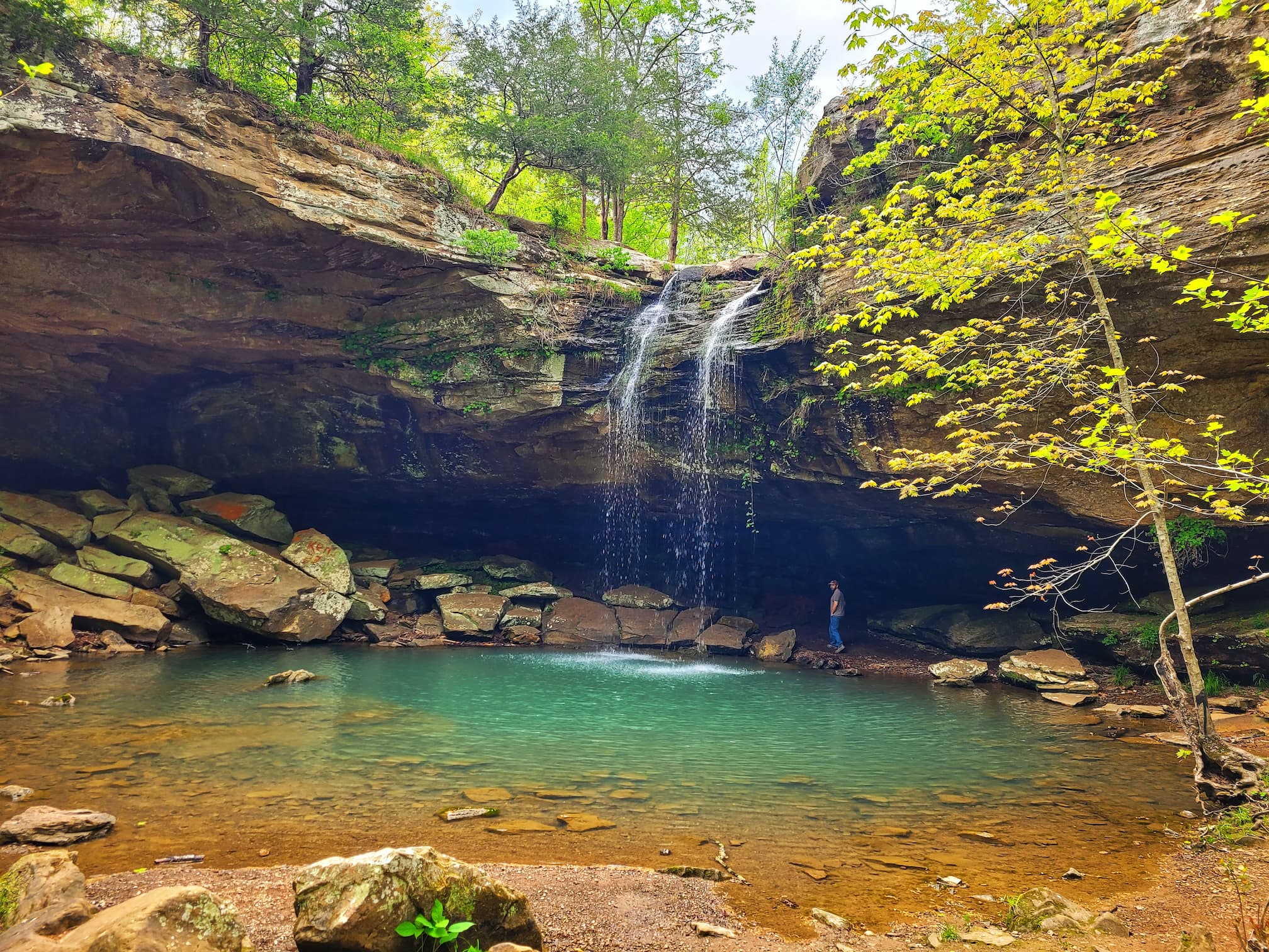 photo of borks falls