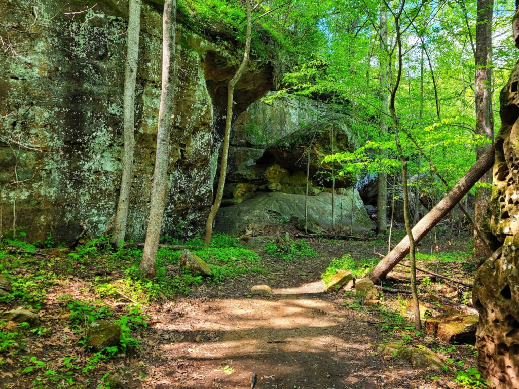Photo of Rebman Trail at Ferne Clyffe State Park