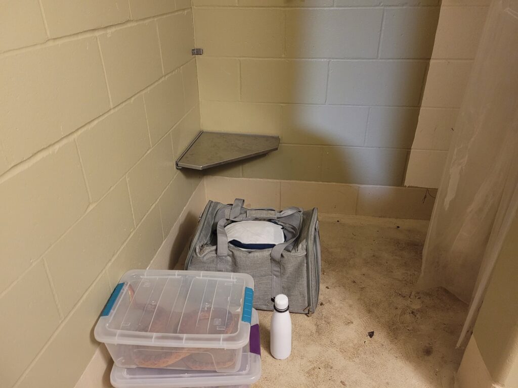 Photo of pet carriers in a shower house