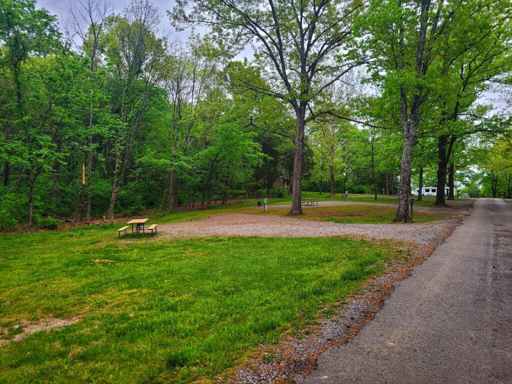 first come first serve camping sites at ferne clyffe state park