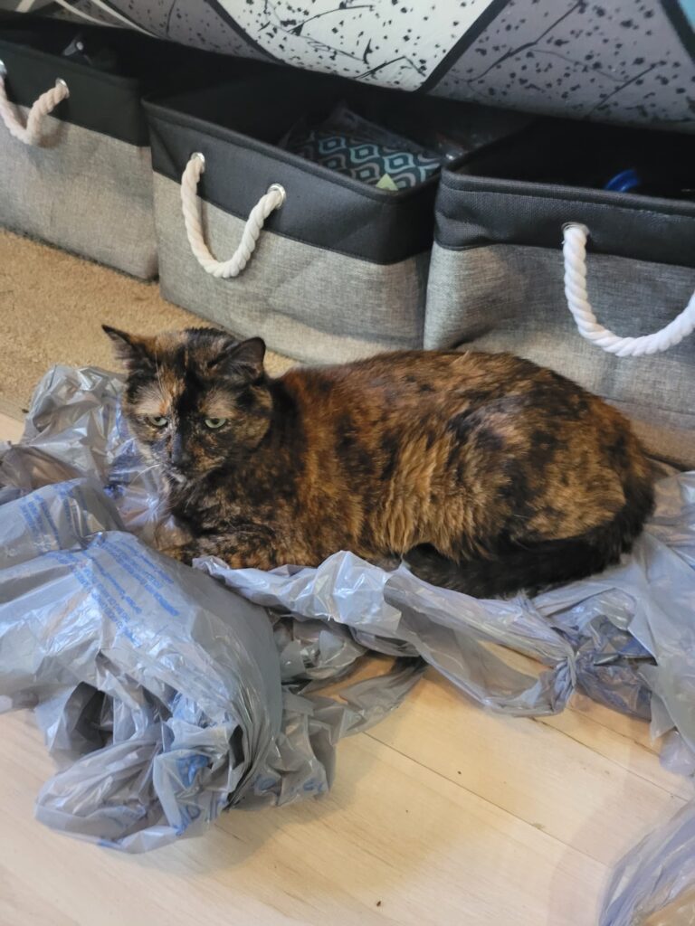 photo of betsey sitting on a pile of bags