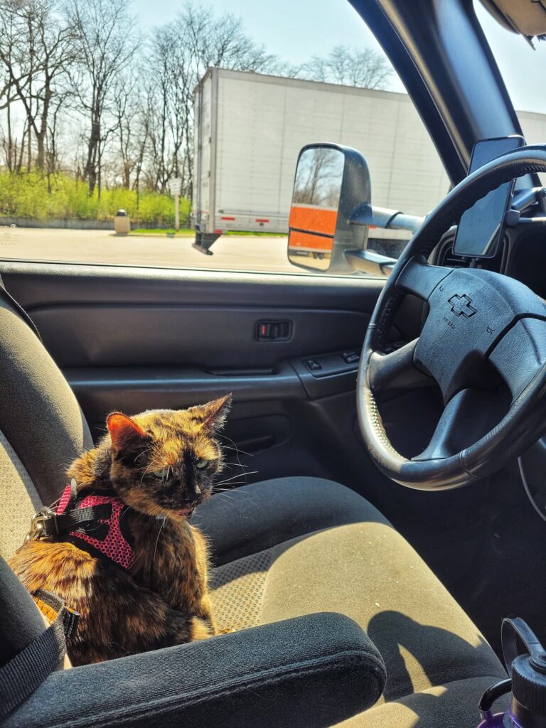 Photo of Betsey sitting in the driver's seat of the truck