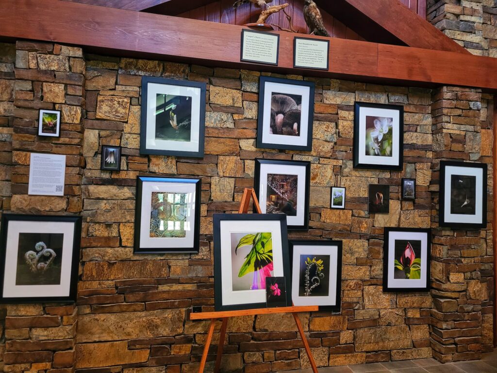 art display at giant city visitor center