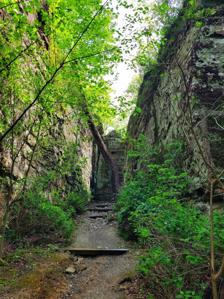 photo of giant city nature trail