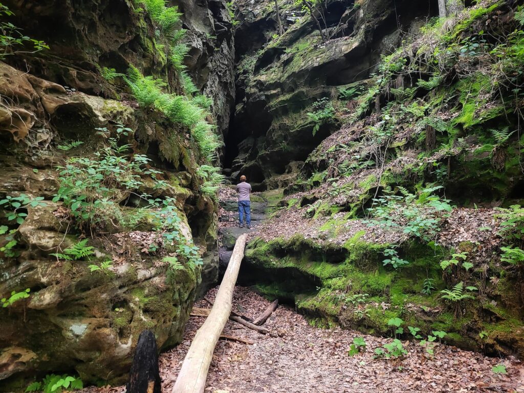 photo of josh at ferne clyffe state park