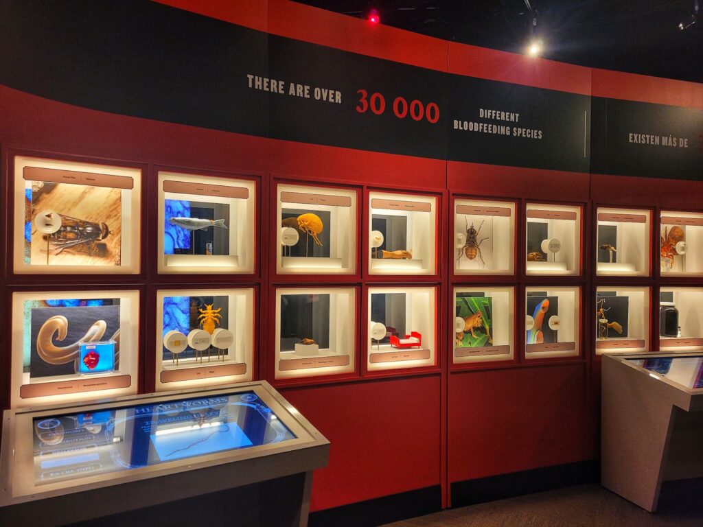 photo of wall of specimens in bloodsuckers exhibit