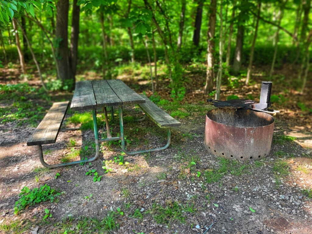 photo of campsite picnic table and fire ring