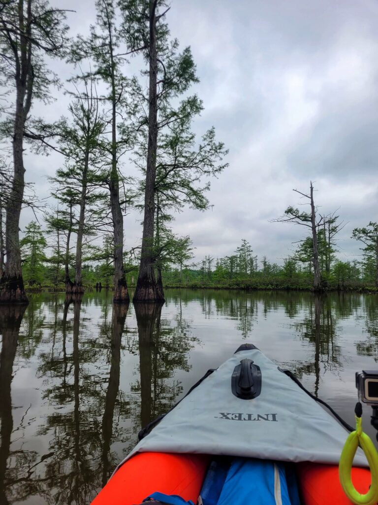 photo of kayak on cache river
