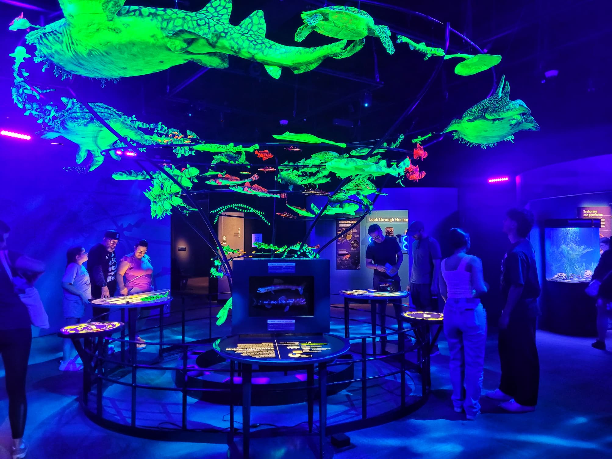 Oceans Unseen: Exploring the Field Museum’s New Temporary Exhibit