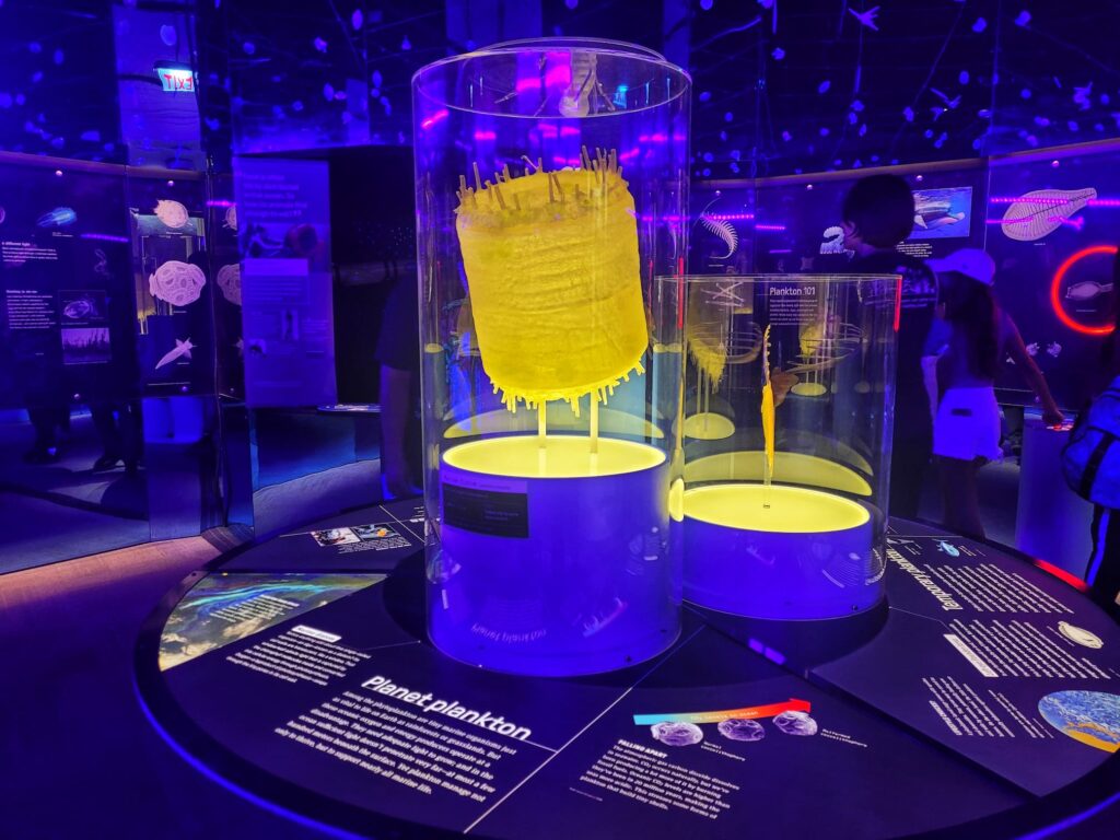 photo of plankton exhibit at field museum