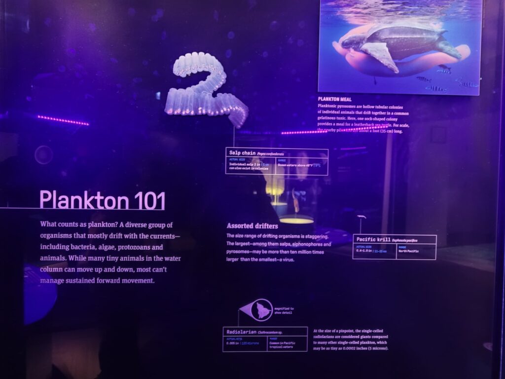 photo of museum sign about plankton