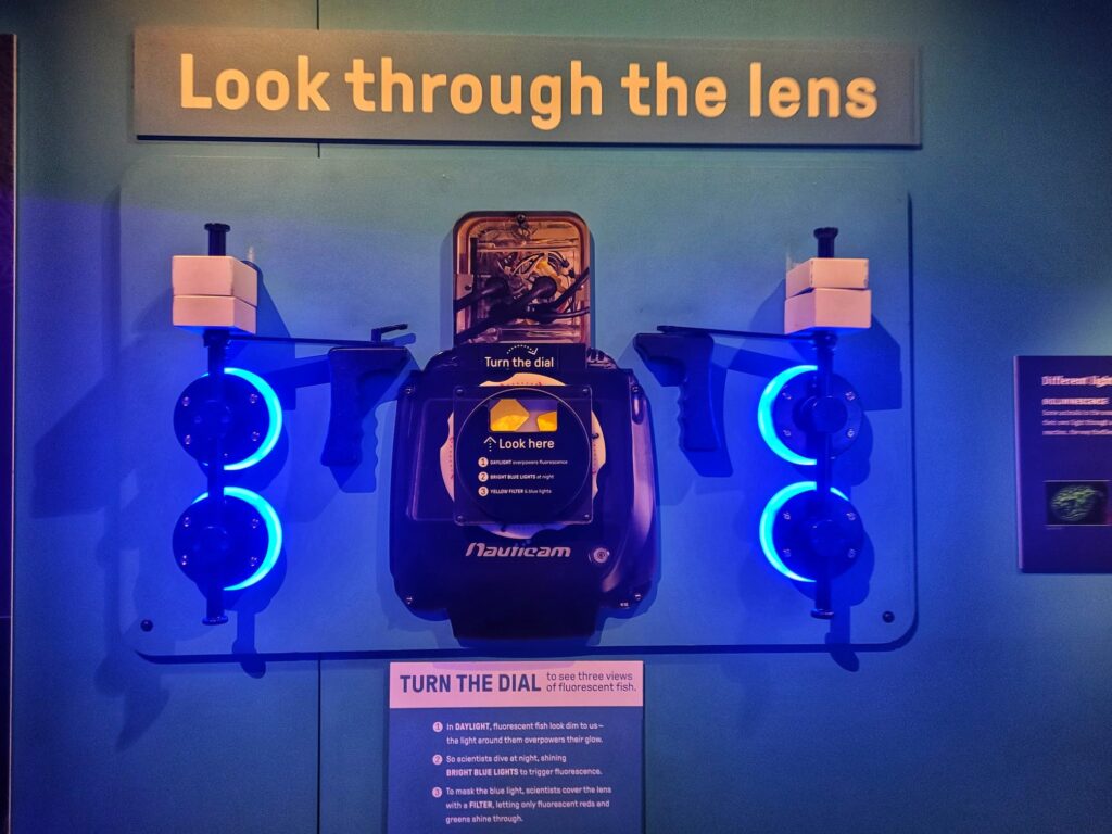 photo of interactive display in oceans unseen exhibit
