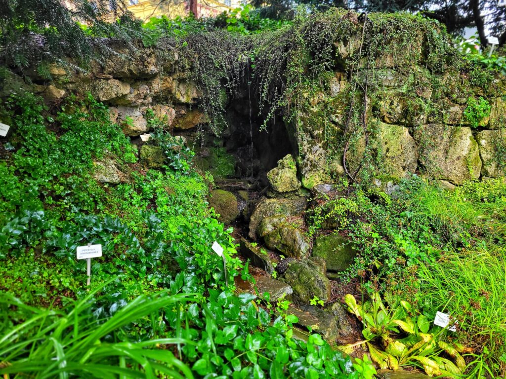 photo of rockery garden