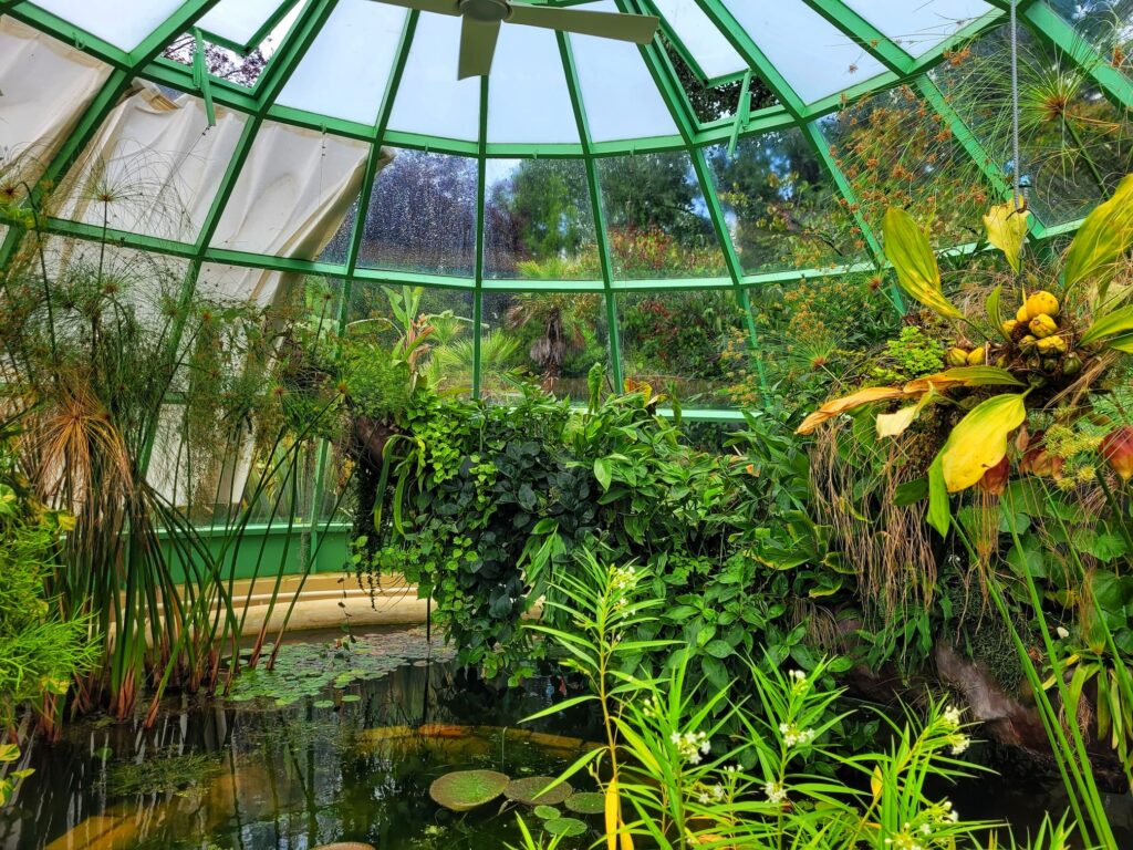 photo of interior of greenhouse dome