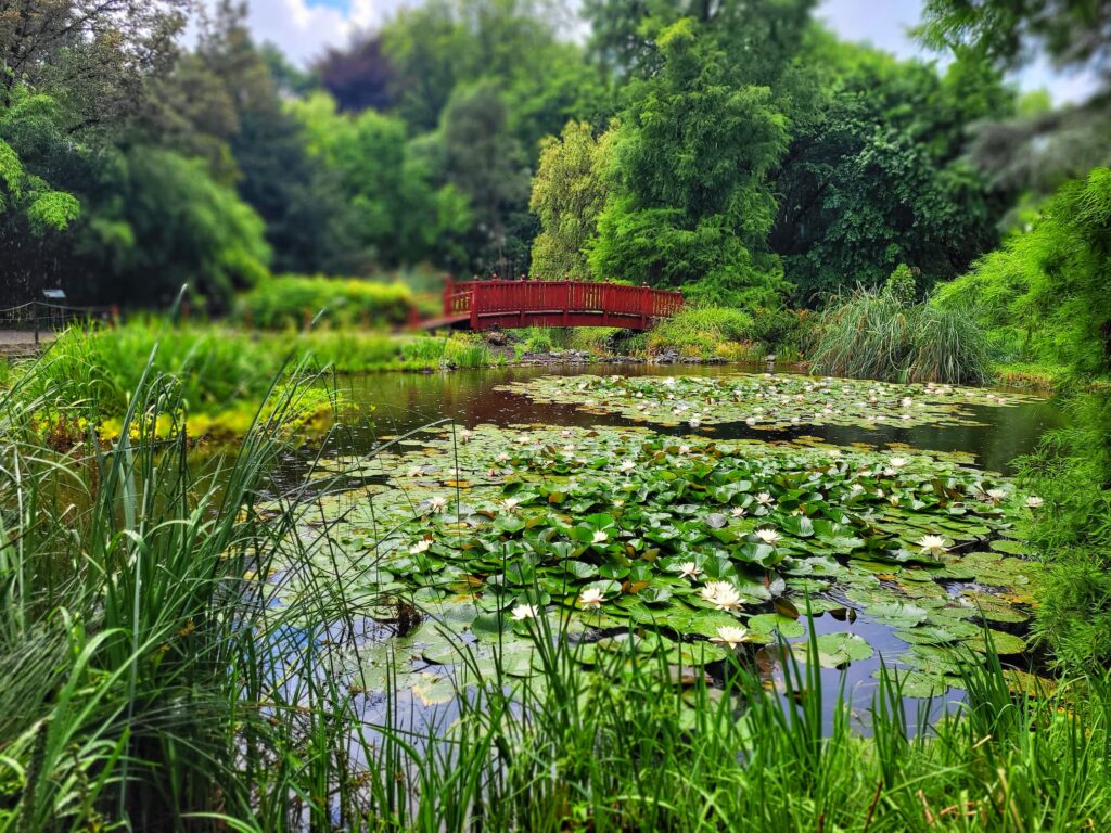 photo of Japanses style bridge in Zagreb