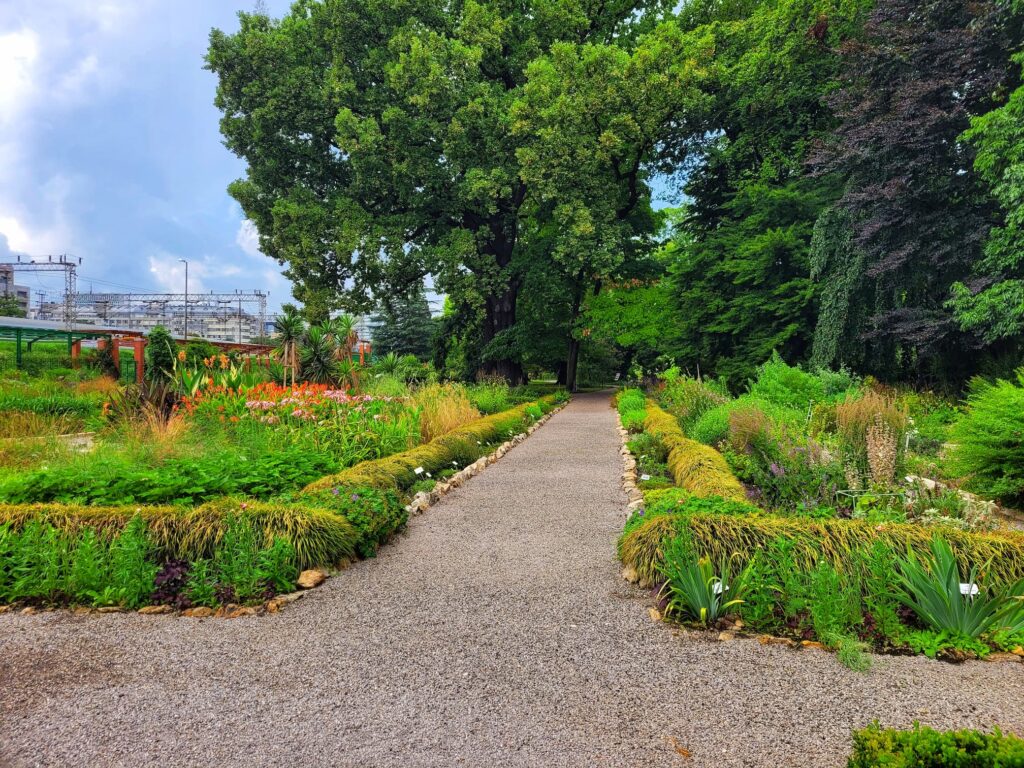 photo of walking path at zagreb botanical garden