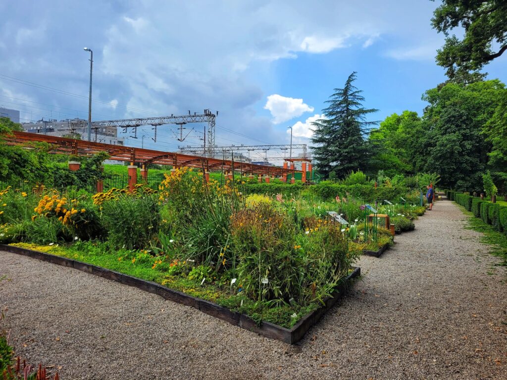 photo of raised beds at zagreb botanical garden