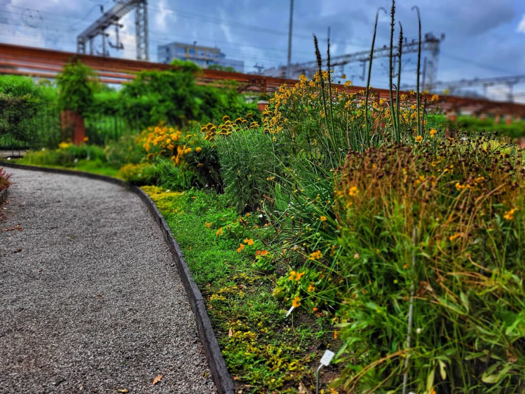 photo of garden beds at zagreb botanical garden