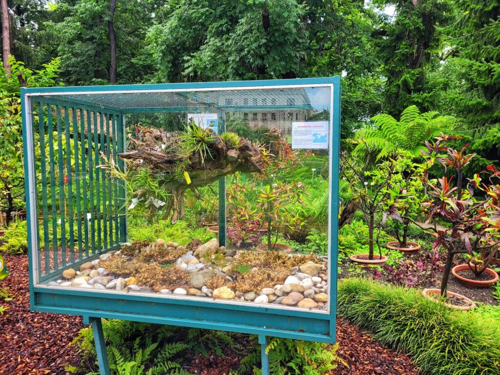 photo of terrarium at zagreb botanical garden