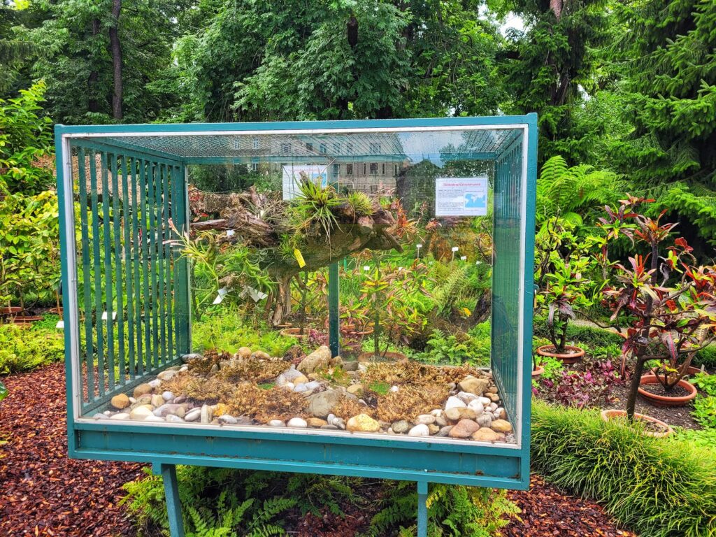 photo of terrarium at zagreb botanical garden