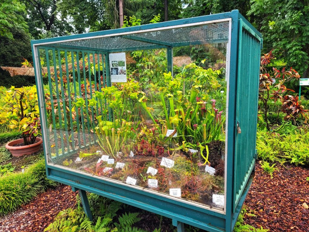 photo of terrarium at zagreb botanical garden