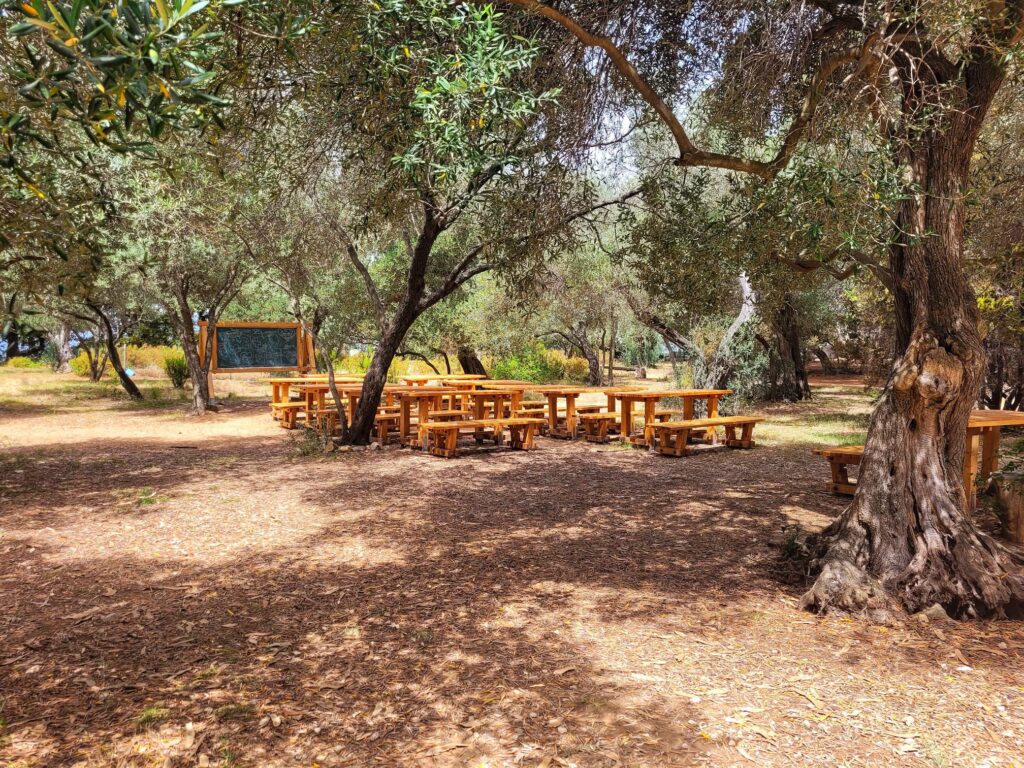 photo of Lokrum Island outdoor classroom