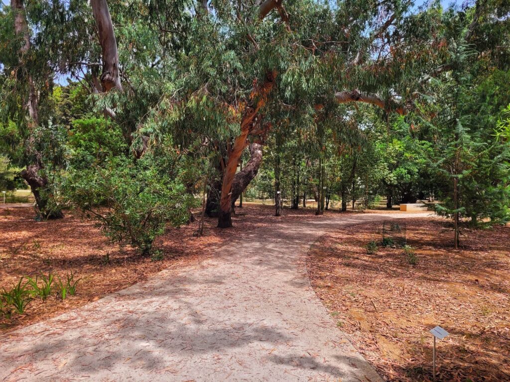 photo of botanic garden walking path