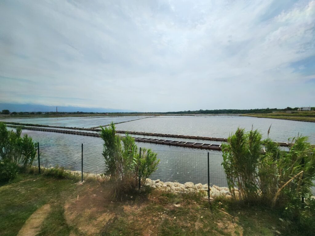 photo of Nin salt field