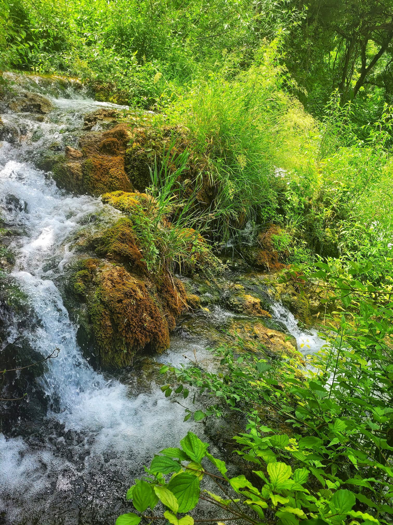 photo of Krka Falls national park