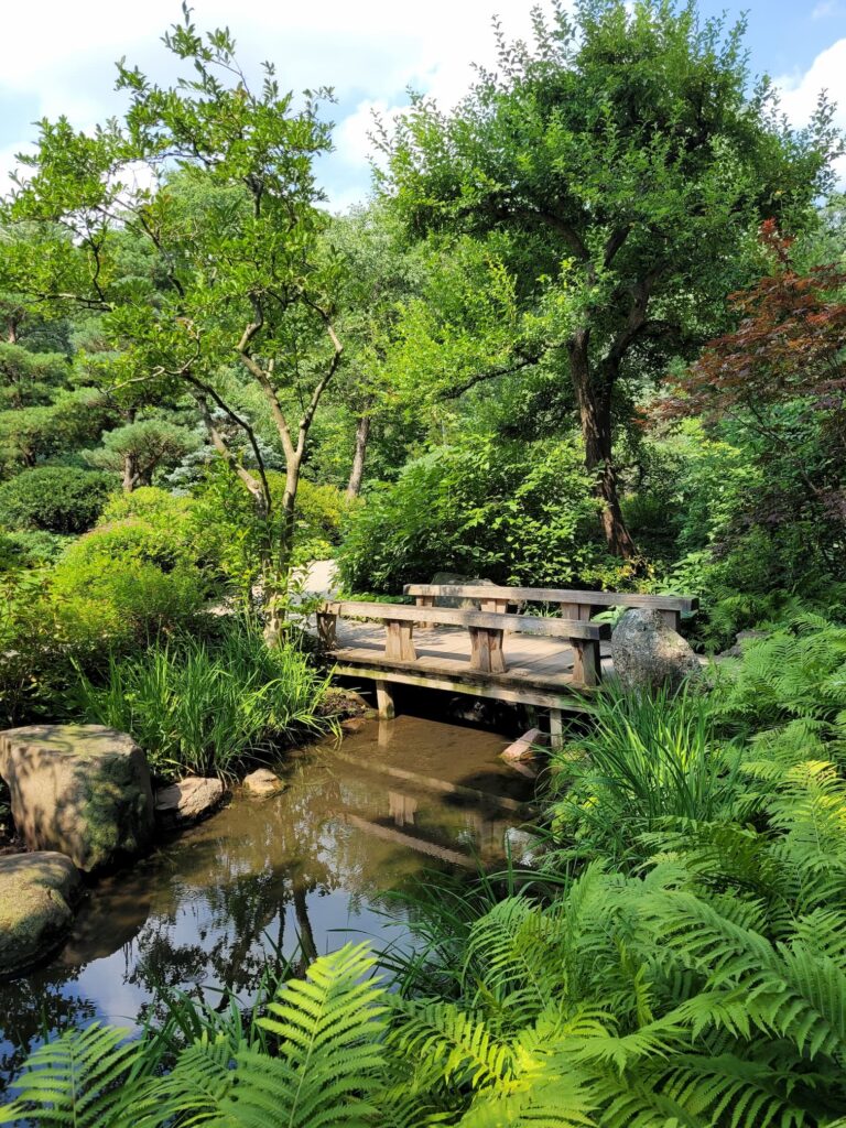 photo of anderson japanese garden