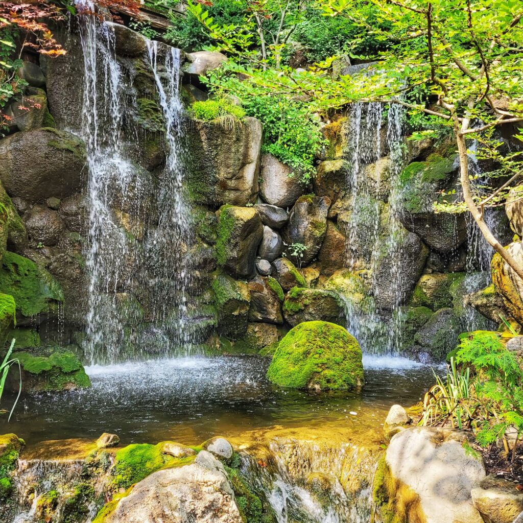 photo of anderson japanese garden