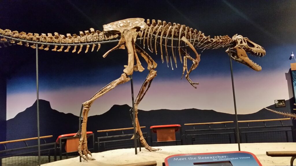 photo of dinosaur at brupee museum