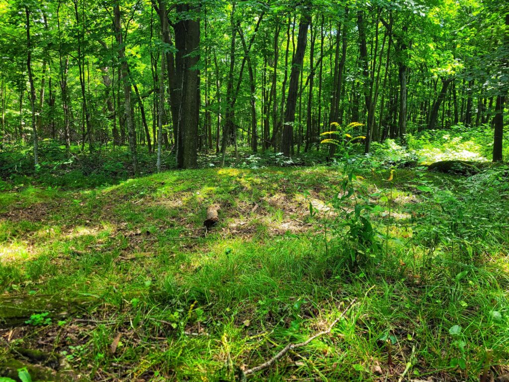 photo of high cliff state park effigy mounds