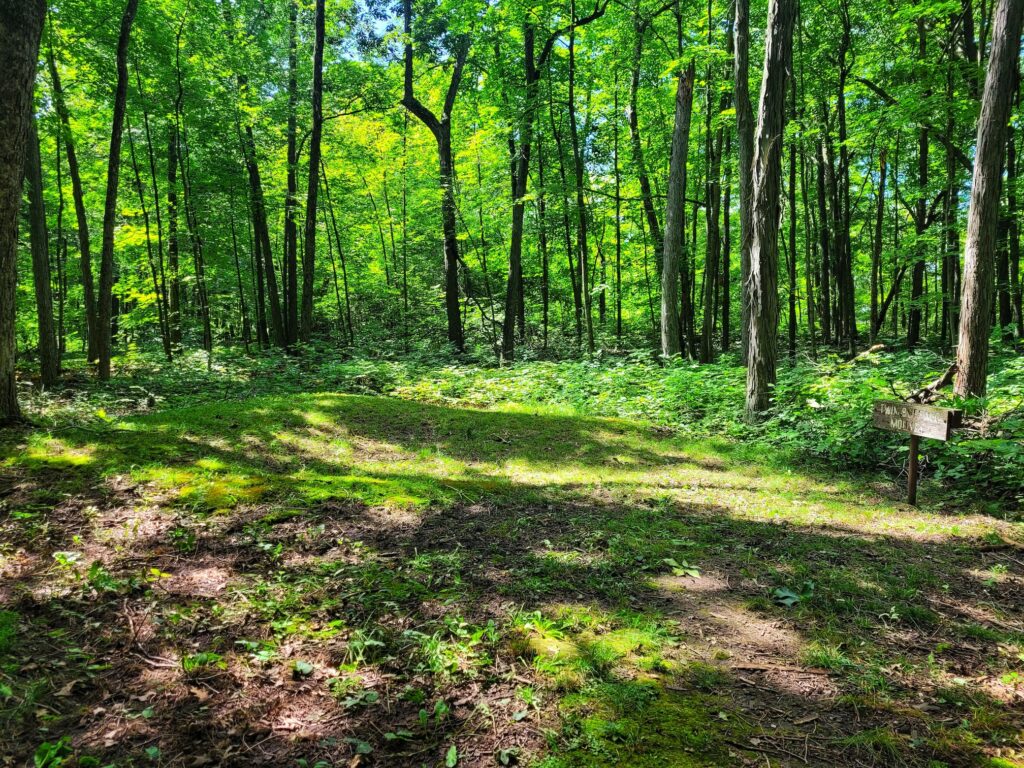 photo of high cliff state park effigy mounds