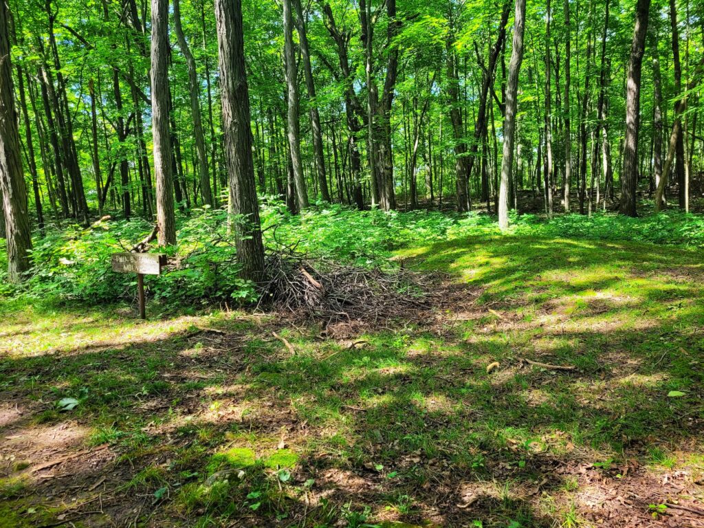 photo of high cliff state park effigy mounds