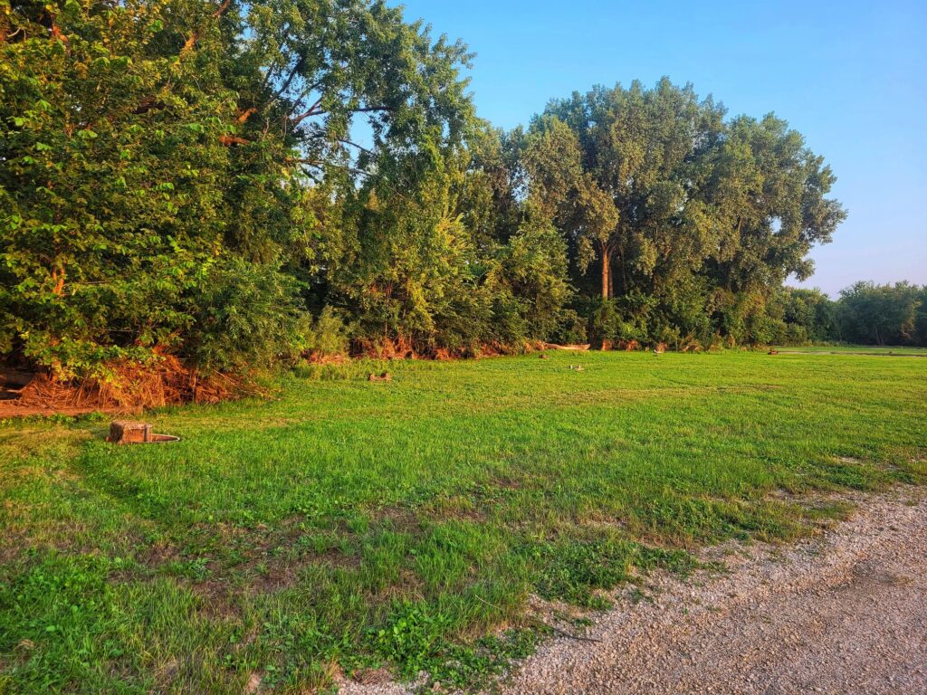 photo of Blackhawk Park campground tent sites