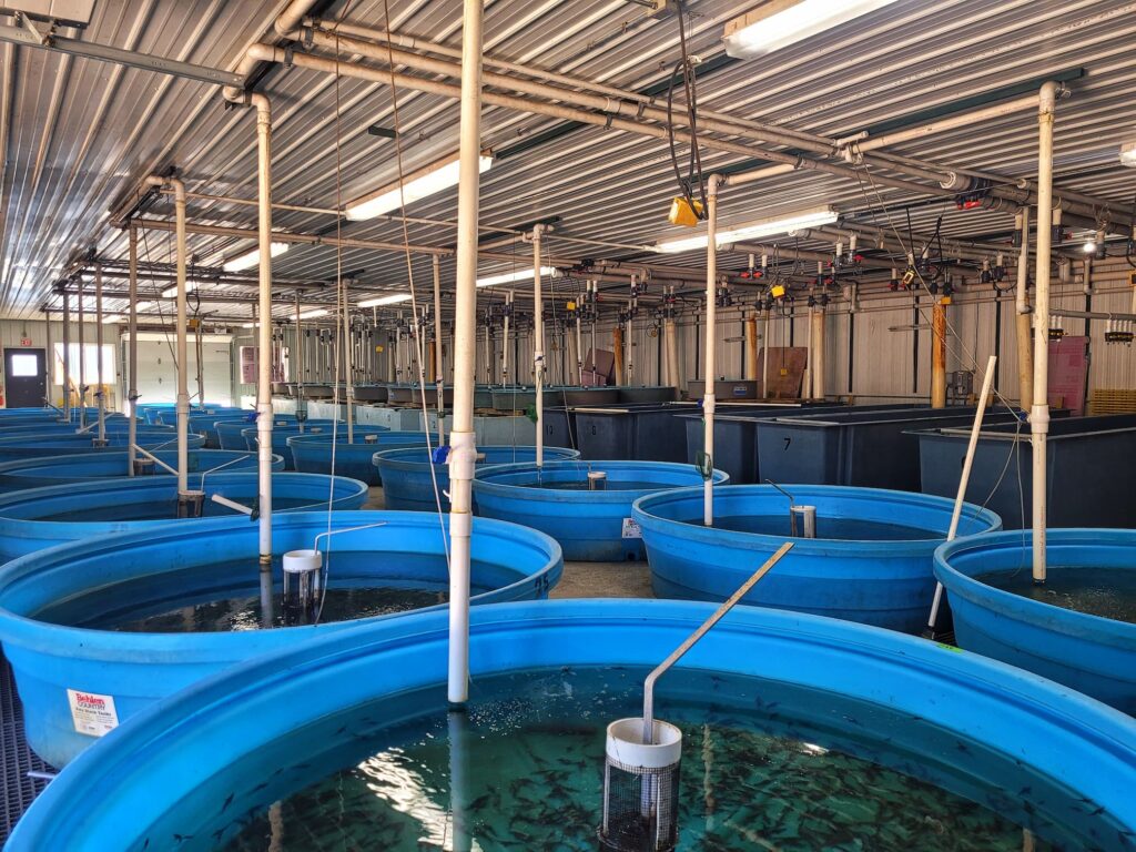 photo of stock tanks at Genoa national fish hatchery