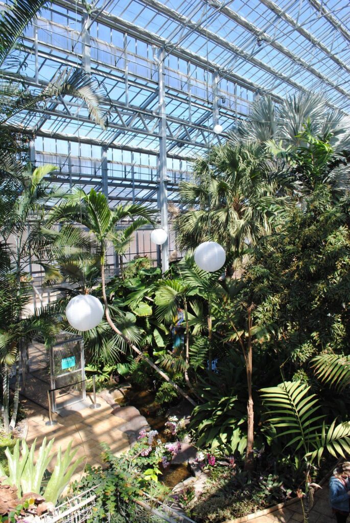 photo of nicholas conservatory in rockford