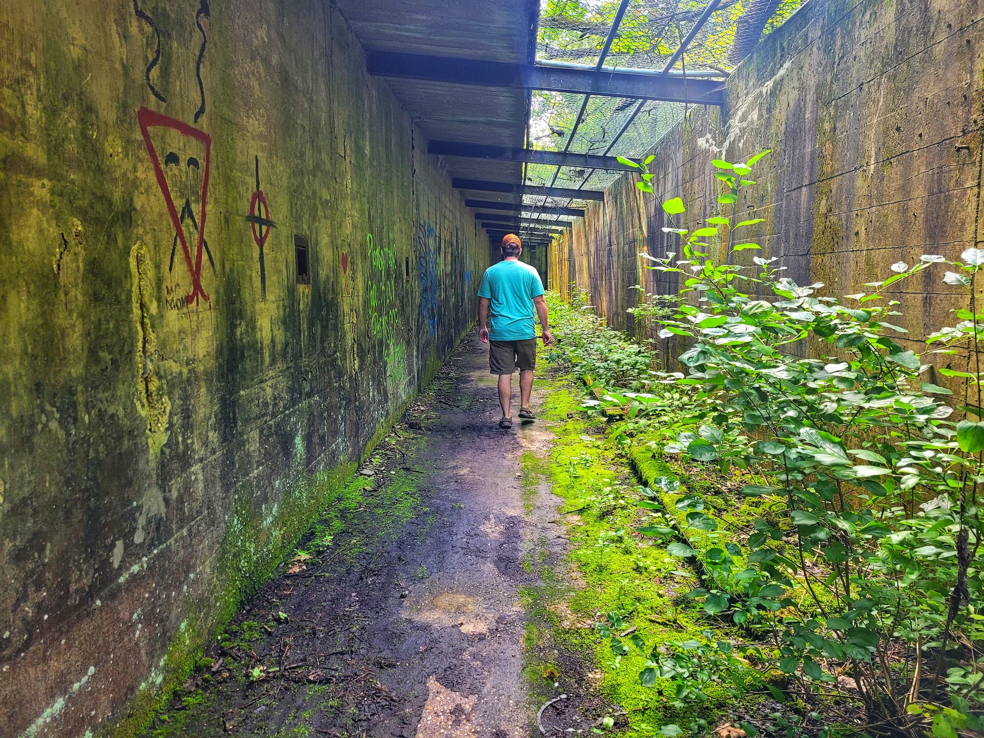 Exploring Abandoned Illinois: 5 (Legal) Spots You Need to Visit