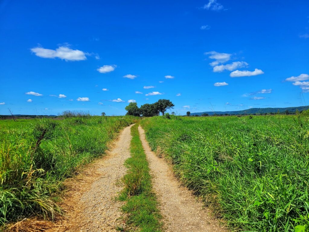 photo of avoca prairie