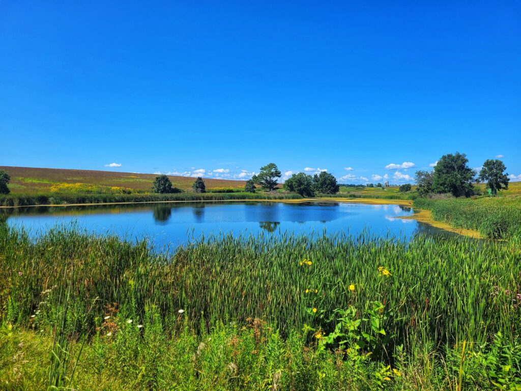 photo of bloomfield prairie