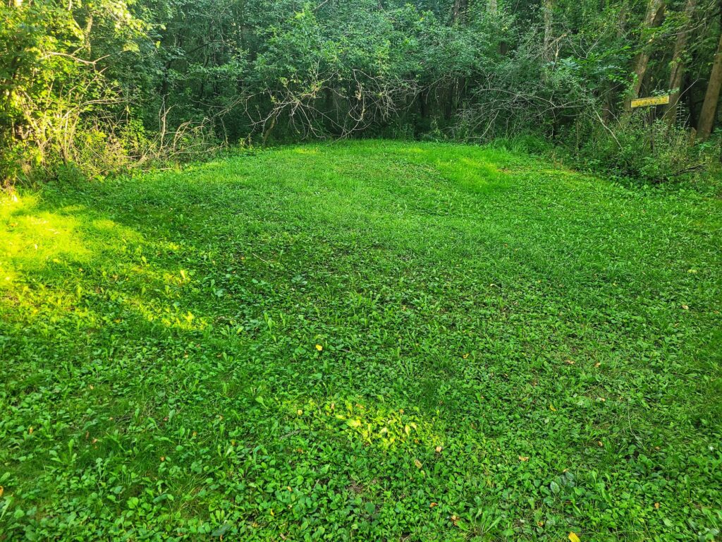 photo of effigy mound at calumet county park