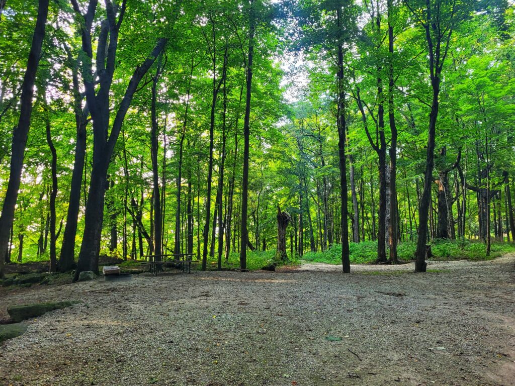 photo of calumet county park upper park campsite
